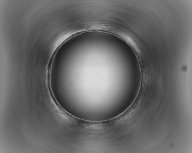 X0000091071047200708061258