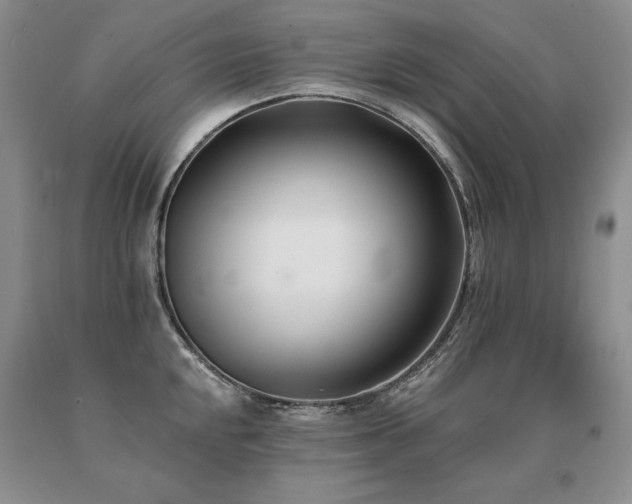 X0000091071048200708061258