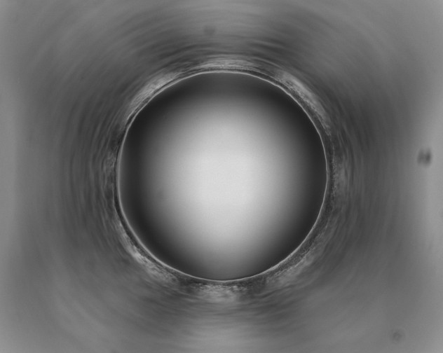 X0000091071049200708061258