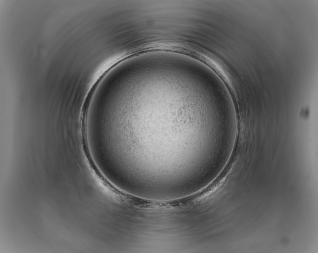 X0000091071050200708061258