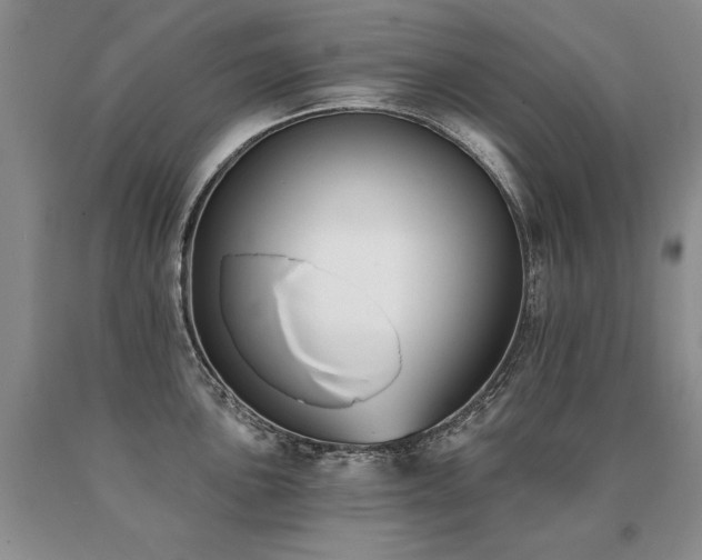 X0000091071051200708061258