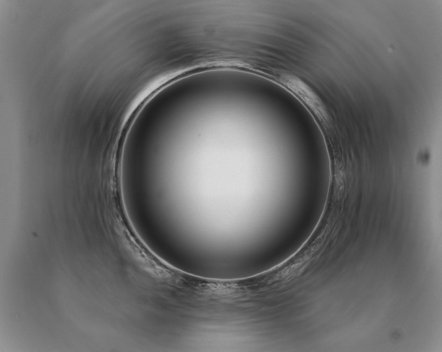 X0000091071052200708061258