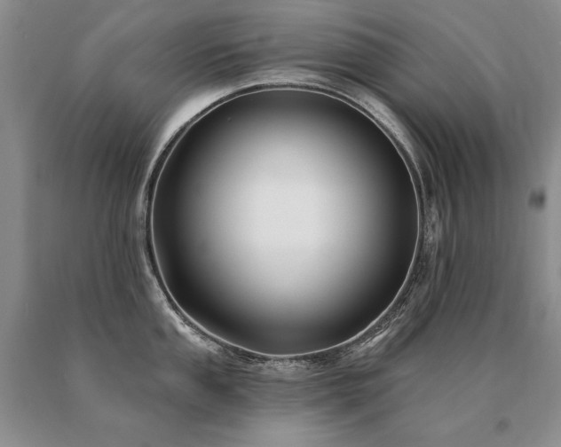 X0000091071053200708061258