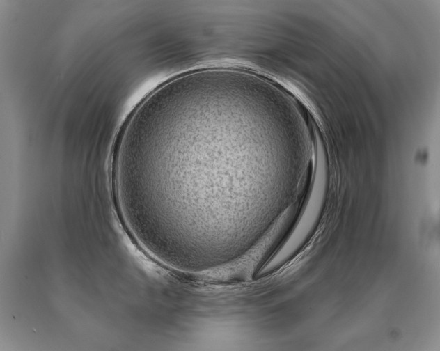 X0000091071054200708061258