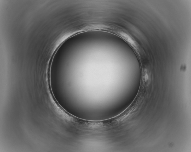 X0000091071055200708061258