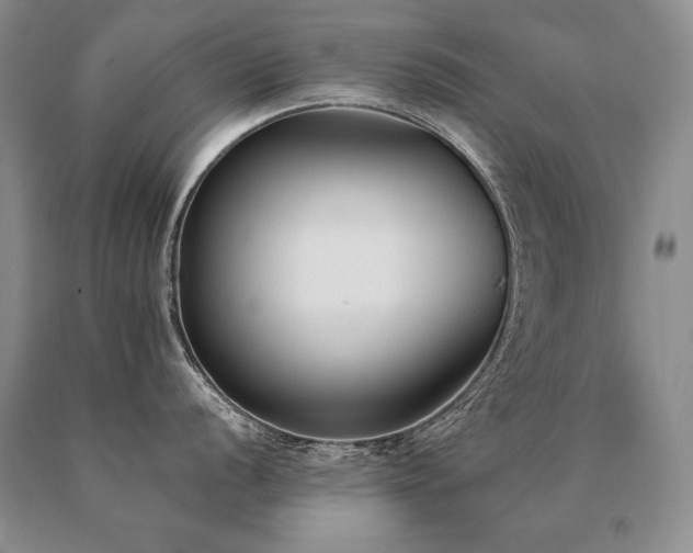 X0000091071056200708061258