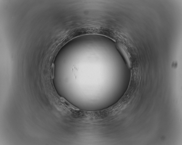 X0000091071057200708061257