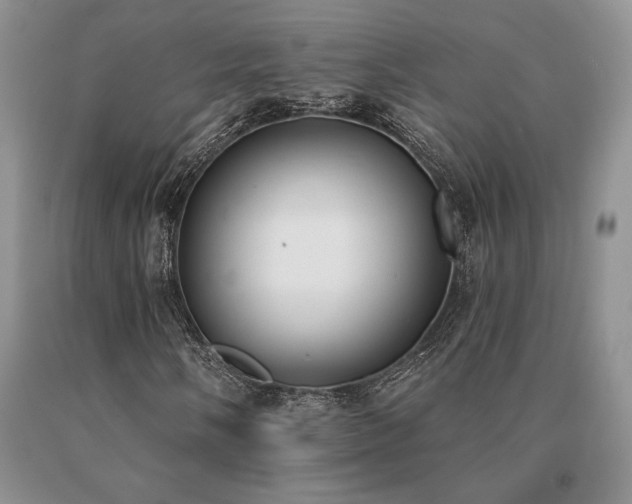X0000091071058200708061257