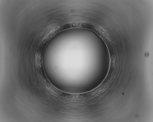 X0000091071060200708061257