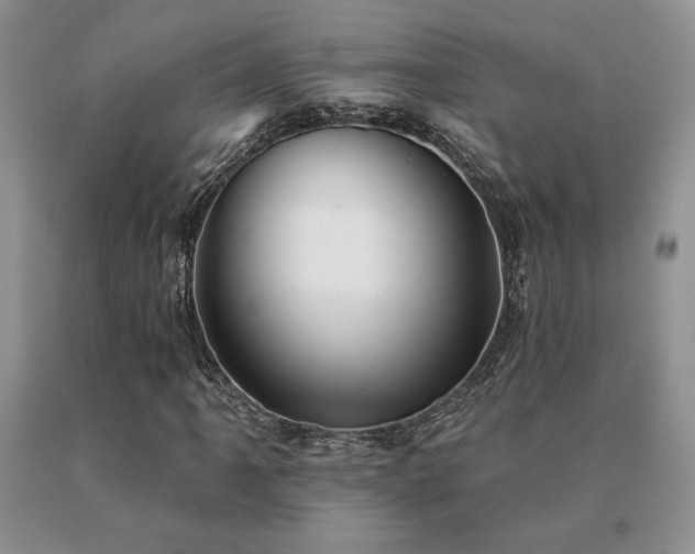 X0000091071061200708061257