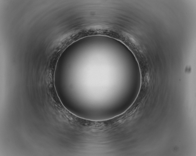 X0000091071062200708061257