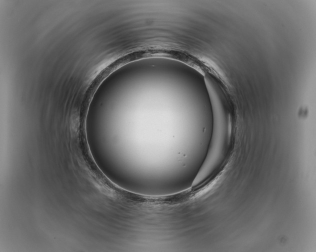 X0000091071065200708061257