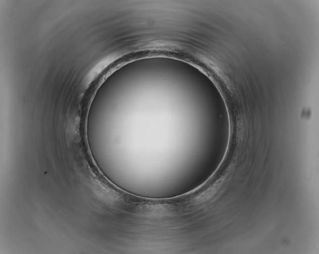 X0000091071066200708061257