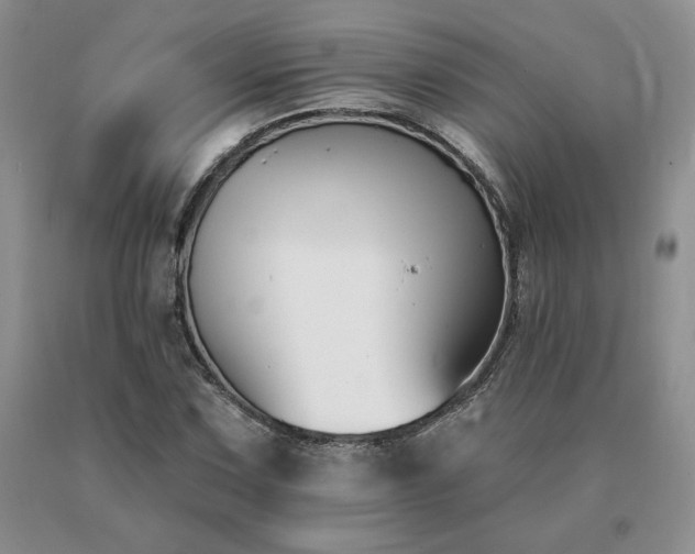 X0000091071067200708061257
