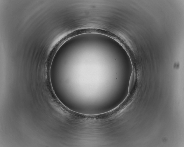 X0000091071069200708061257