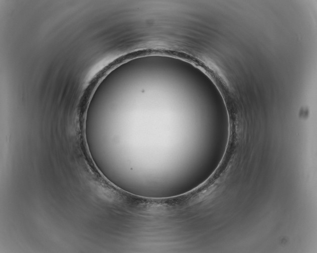 X0000091071070200708061257
