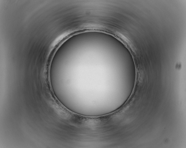X0000091071074200708061257