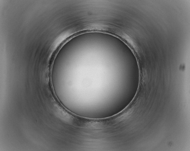 X0000091071075200708061257