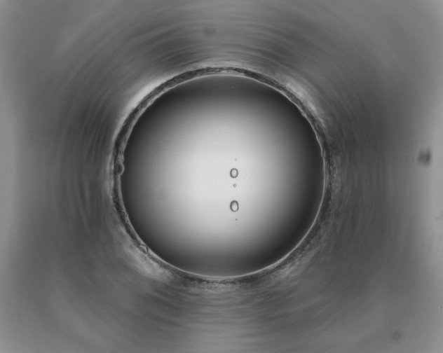 X0000091071076200708061257