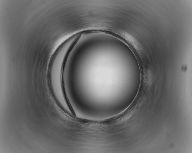 X0000091071077200708061257