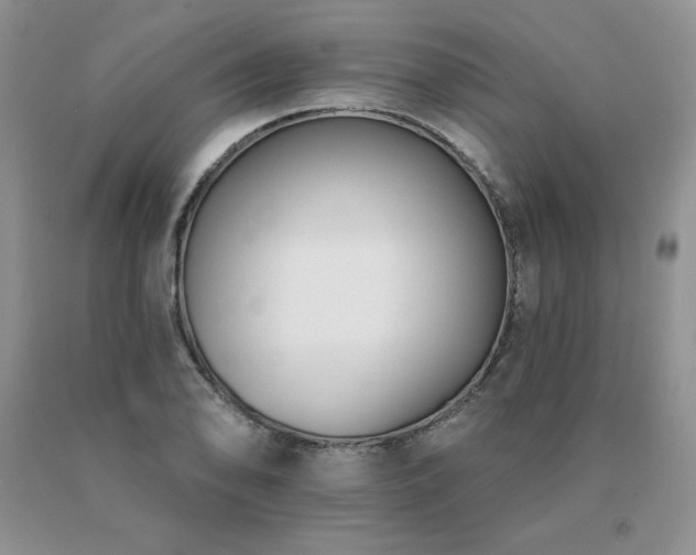 X0000091071078200708061257