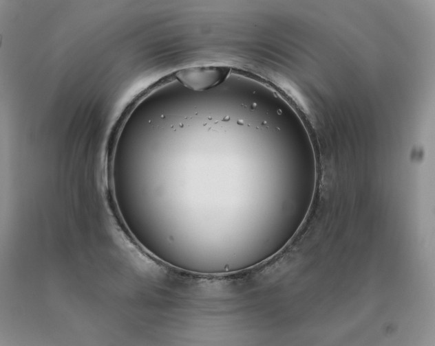 X0000091071080200708061257