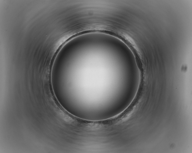 X0000091071081200708061257