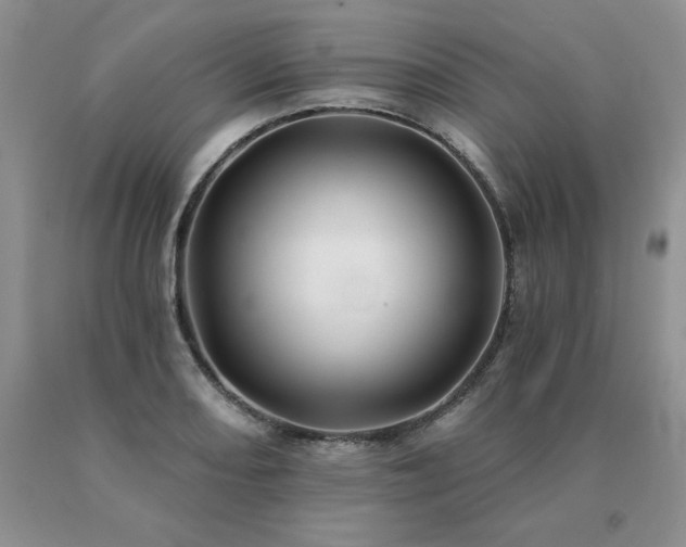 X0000091071082200708061257