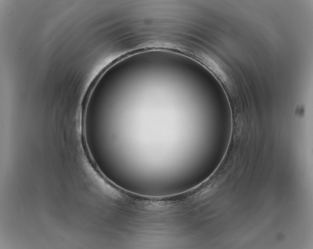 X0000091071084200708061257