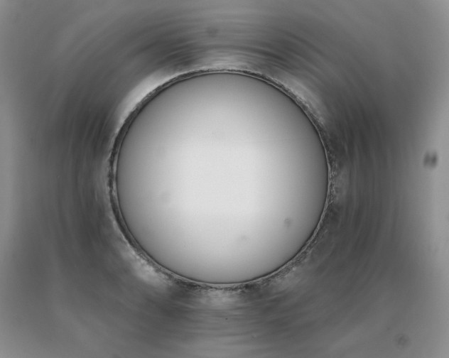 X0000091071086200708061257