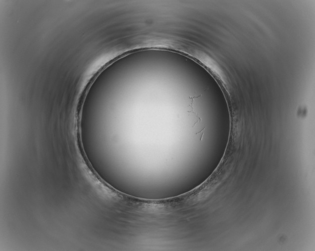 X0000091071088200708061257