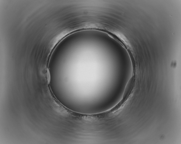 X0000091071089200708061257