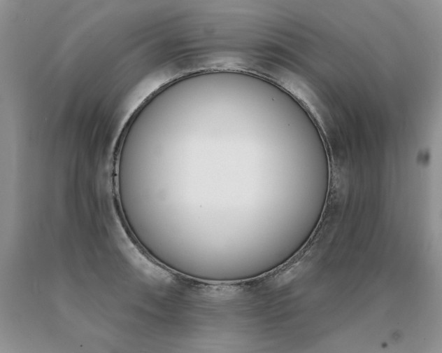 X0000091071090200708061257
