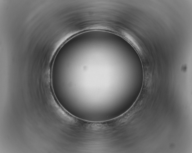 X0000091071092200708061257