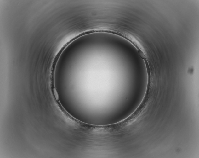 X0000091071093200708061257