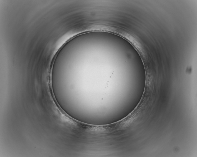 X0000091071094200708061257