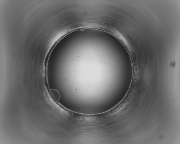 X0000091071095200708061257
