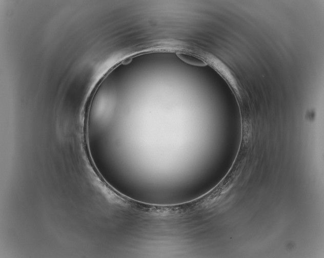 X0000091071099200708061257