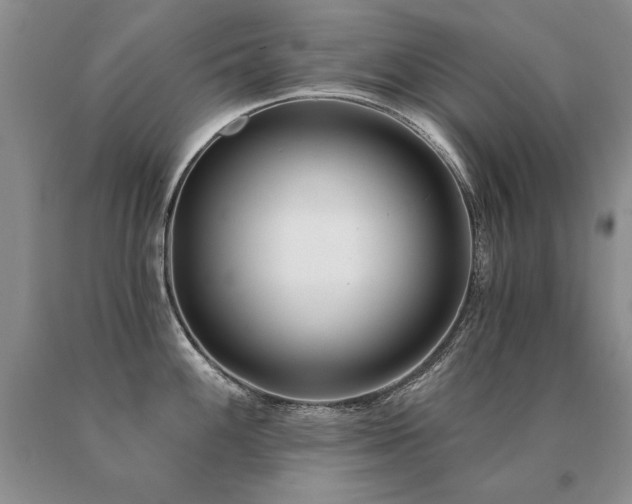 X0000091071100200708061257