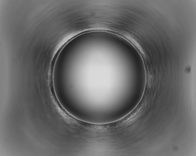 X0000091071101200708061257