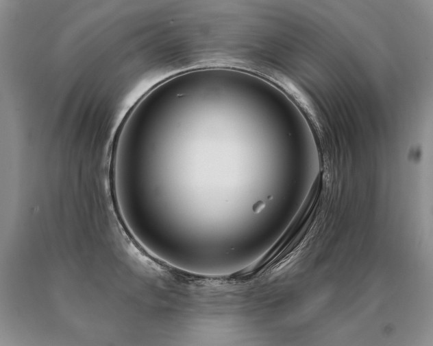 X0000091071102200708061257