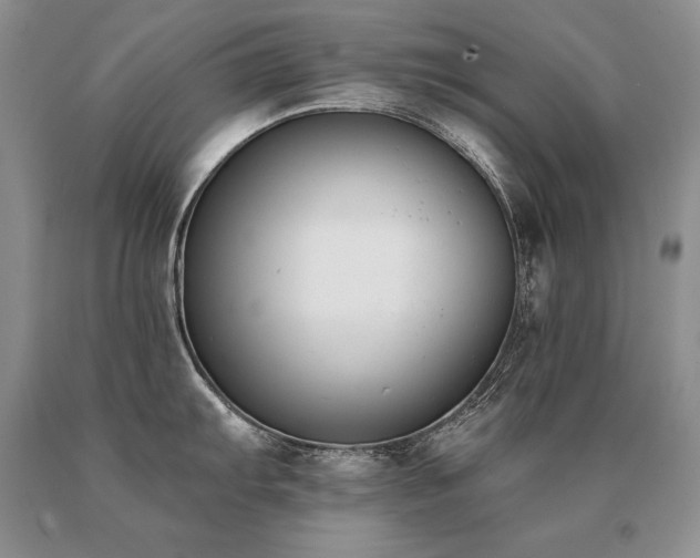 X0000091071103200708061257