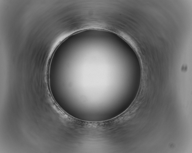 X0000091071104200708061257