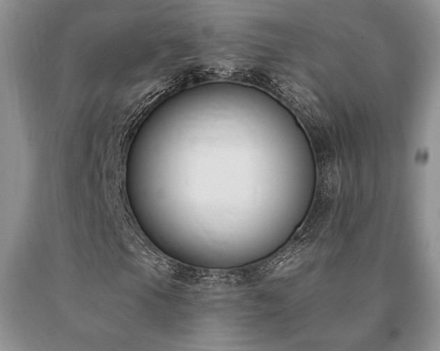 X0000091071105200708061256