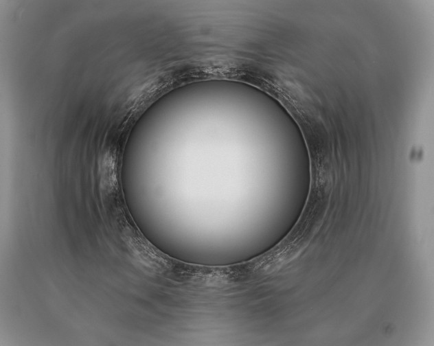 X0000091071106200708061256