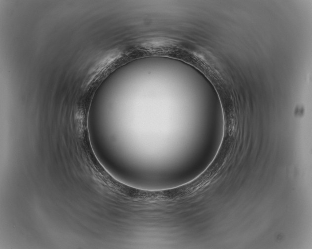 X0000091071108200708061256