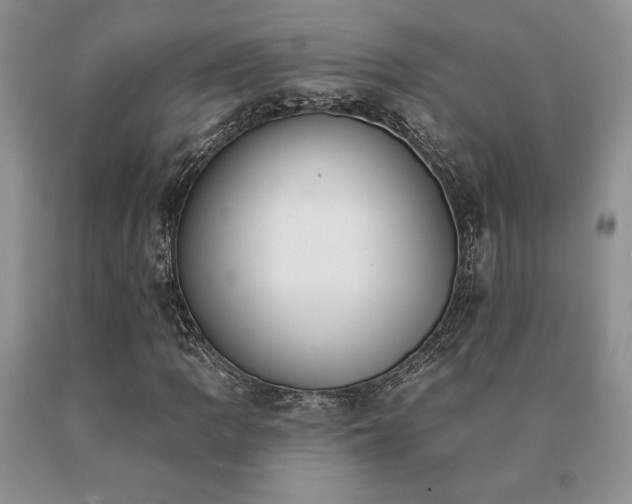 X0000091071109200708061256