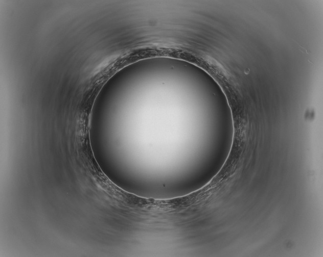 X0000091071110200708061256