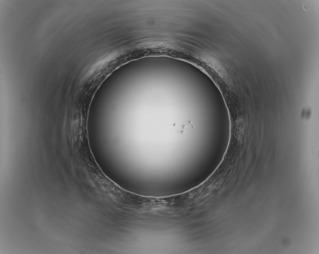 X0000091071111200708061256