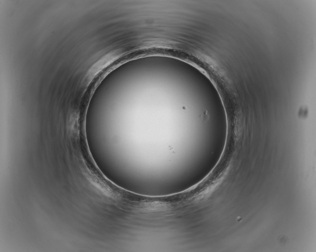 X0000091071113200708061256